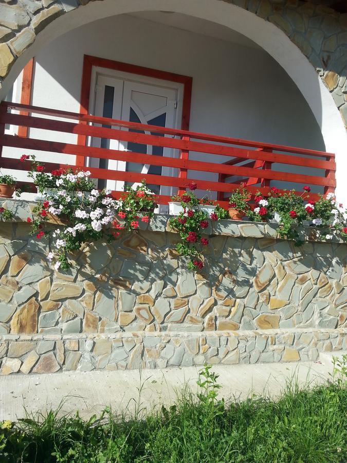 Pensiunea Agroturistica Ioana Bradulet Exterior foto
